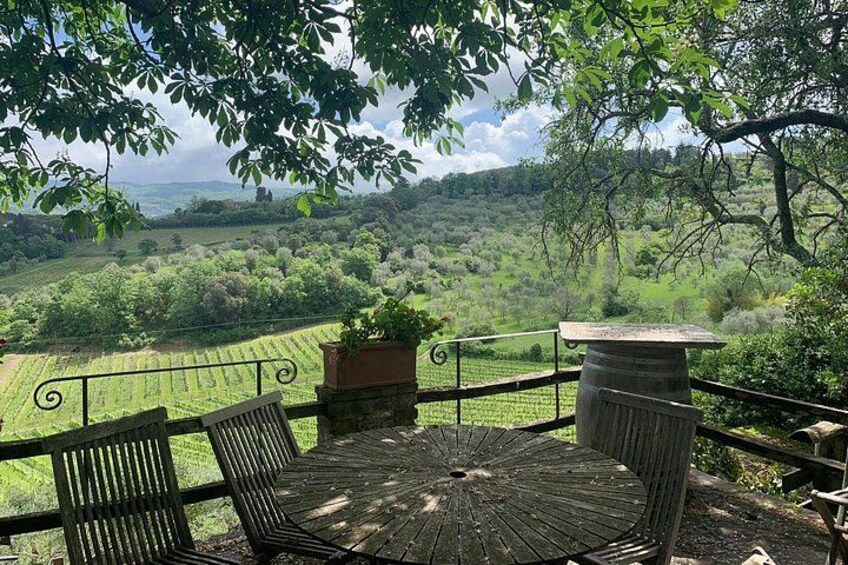 View From the winery 4