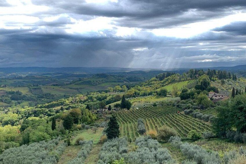 Private Tour in Siena, San Gimignano and Chianti Day Trip from Florence 3