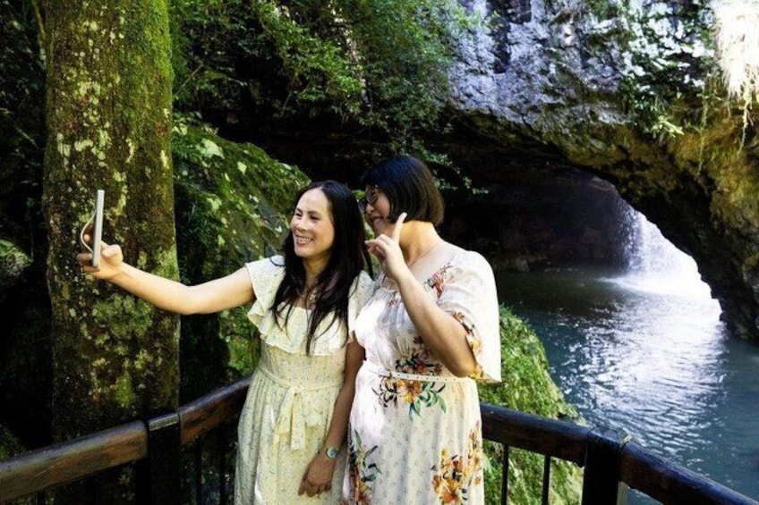 Springbrook Waterfalls & Natural Bridge Tour from Gold Coast 4