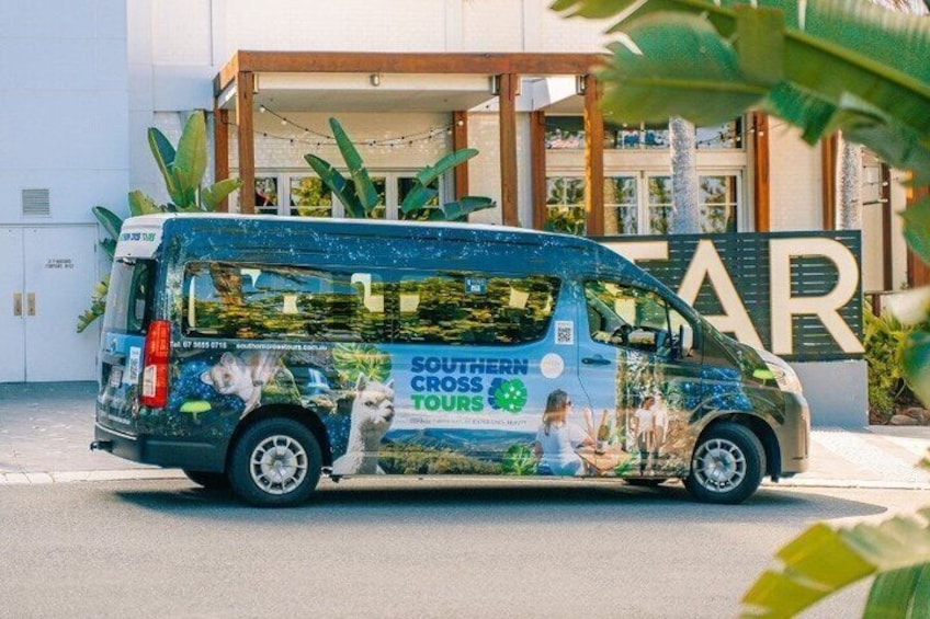 Springbrook Waterfalls & Natural Bridge Tour from Gold Coast 3