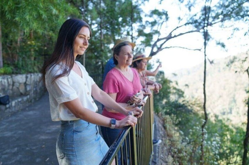 Springbrook Waterfalls & Natural Bridge Tour from Gold Coast 2
