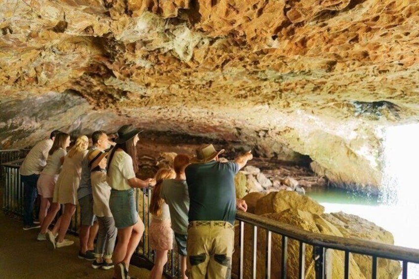 Springbrook Waterfalls & Natural Bridge Tour from Gold Coast 5