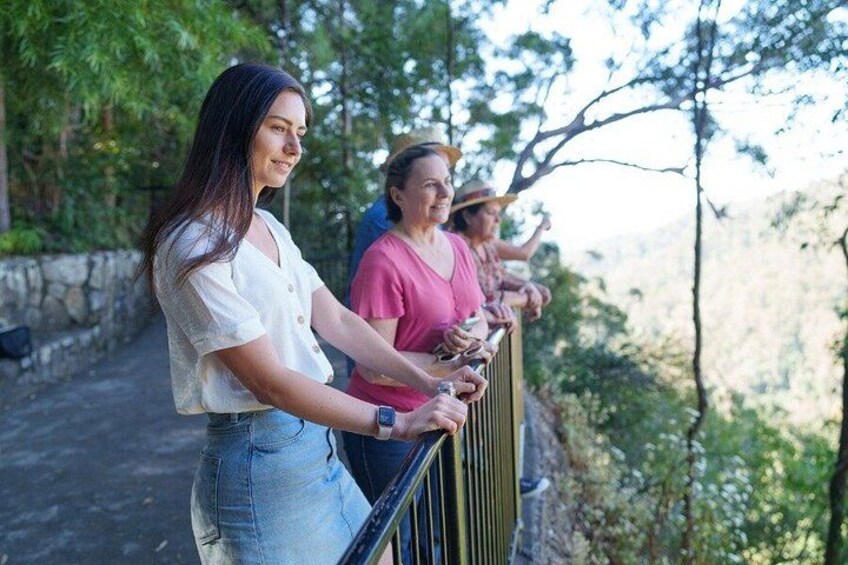 Springbrook Waterfalls & Natural Bridge Tour from Gold Coast 2