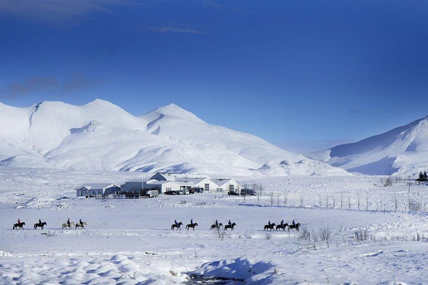Laxnes Farm, Winter 4