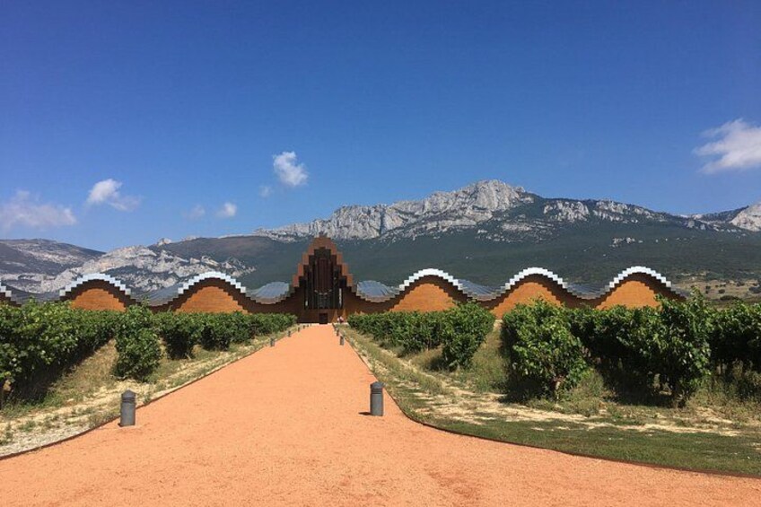 The famed winery of Ysios designed by Santiago Calatrava... 1