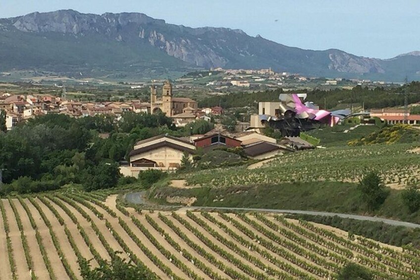 View of Marques de Riscal designed by Frank Gehry... 2