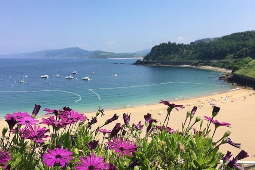 A beach with boats, flowers, and a hilly landscape. 3
