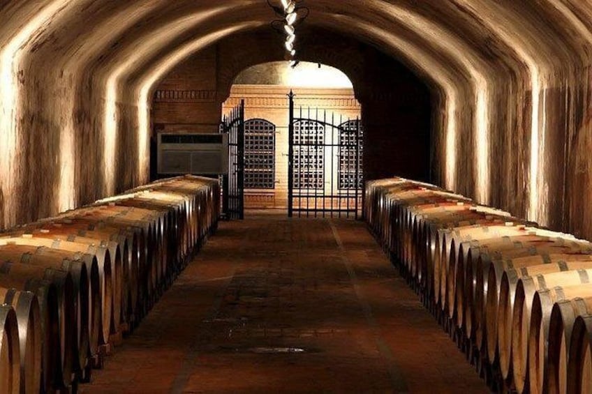 Collio wines 5