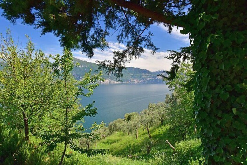 Best views of Lake Garda off the beaten path in your private tour
