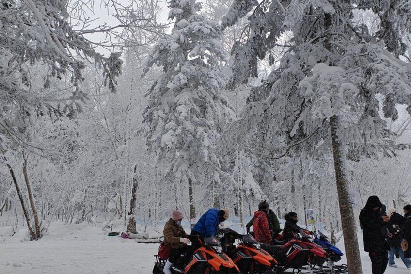 A group of people in a snowy forest with snow-covered trees and a snowmobile. 4