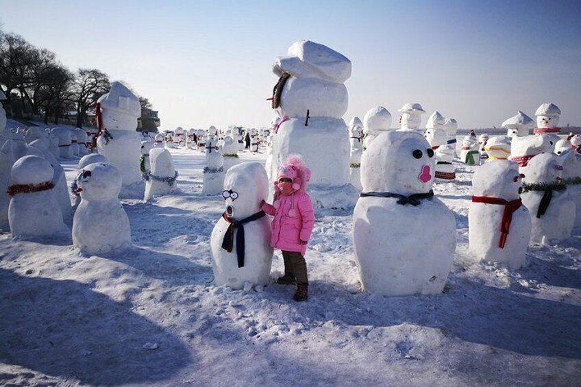 3-Day Harbin City Private Tour in Your Way in Winter Season