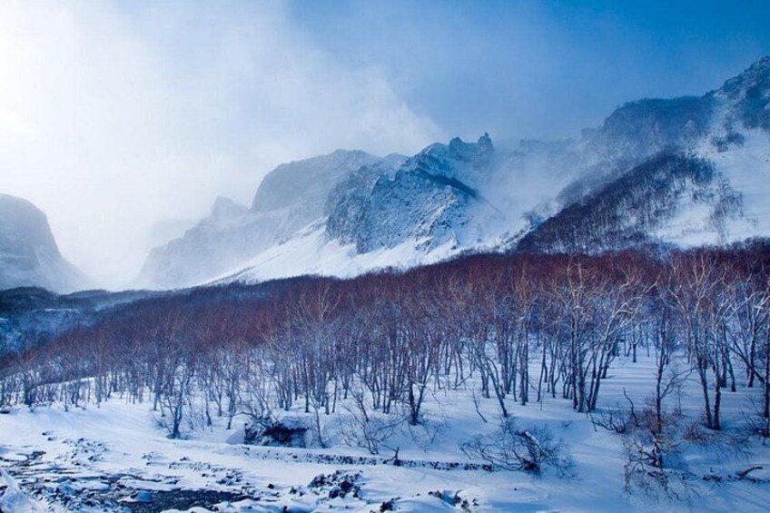 A snowy mountain landscape with a forest in the foreground and a clear sky. 4