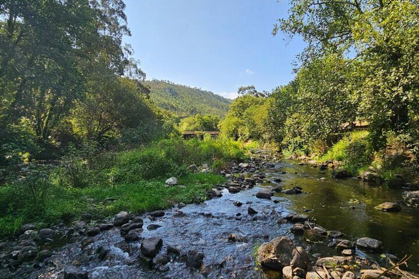 Un río sinuoso con rocas, rodeado de abundante vegetación y colinas. 3