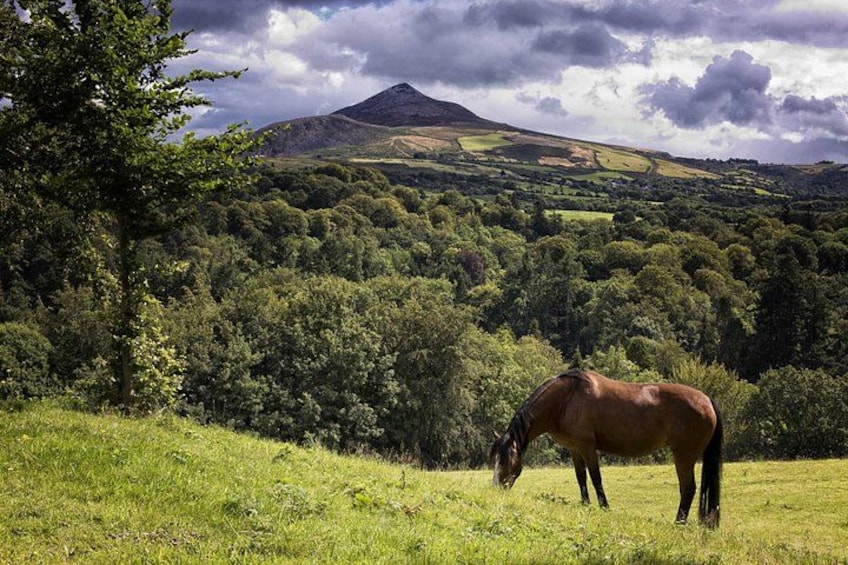 Un caballo pastando en un campo verde con una montaña al fondo. 3
