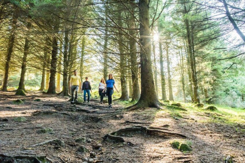 Dublin to Powerscourt, Wicklow, Glendalough Private Guided Tour 2
