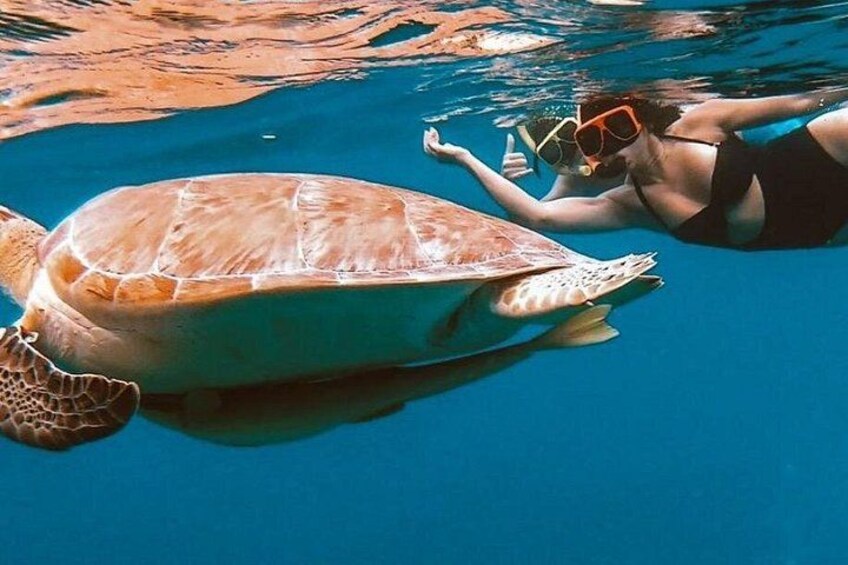 https://media-https://media-cdn.tripadvisor.com/media/attractions-splice-spp-720x480/0b/97/ef/19.jpgcdn.tripadvisor.com/media/attractions-splice-spp-720x480/0b/97/ef/15.jpg 3