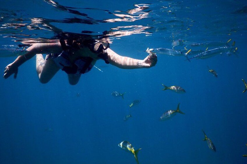 Full-Day Snorkeling Tour to Culebra Island with Lunch 2