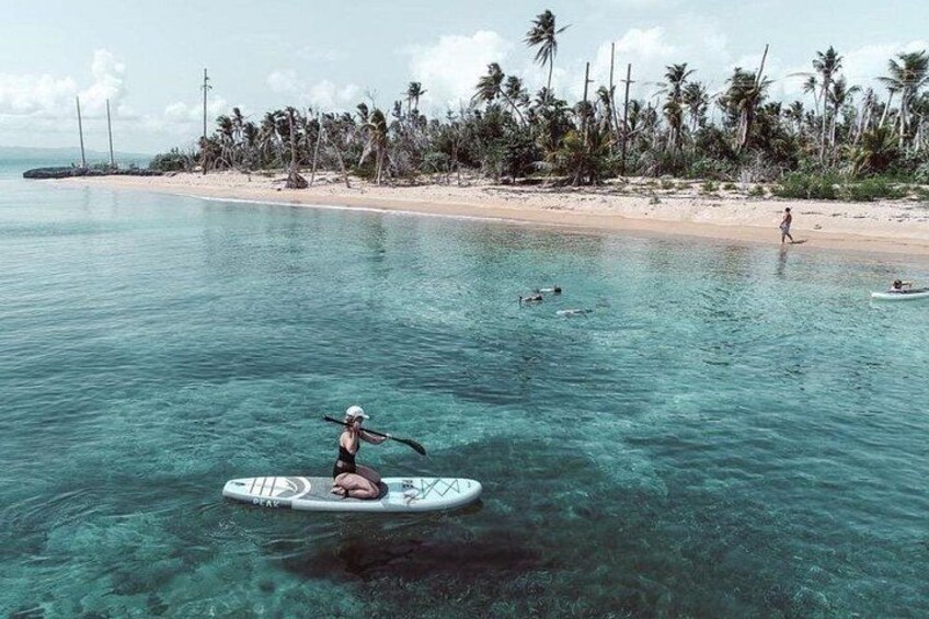 Snorkeling Tour to Vieques Island only 30 minutes away! 2