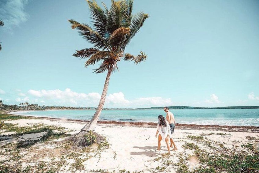 A beach with a palm tree, a couple walking, and a calm sea. 4