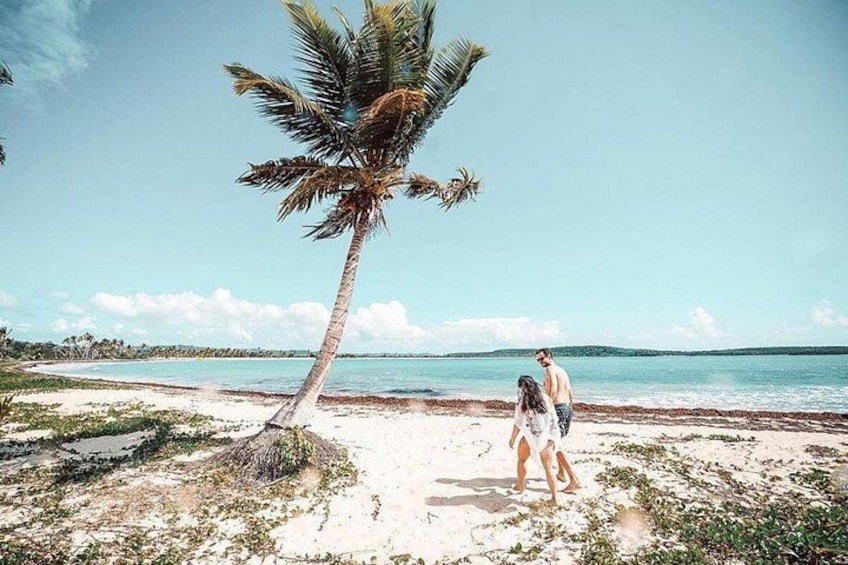 A beach with a palm tree, a person walking, and a body of water in the background. 2