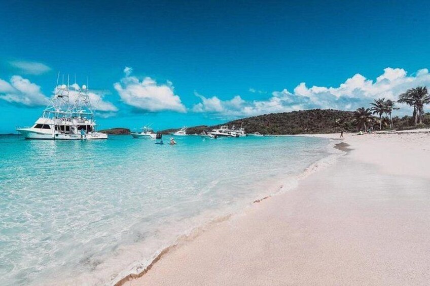 Snorkeling Tour to Vieques Island only 30 minutes away! 3