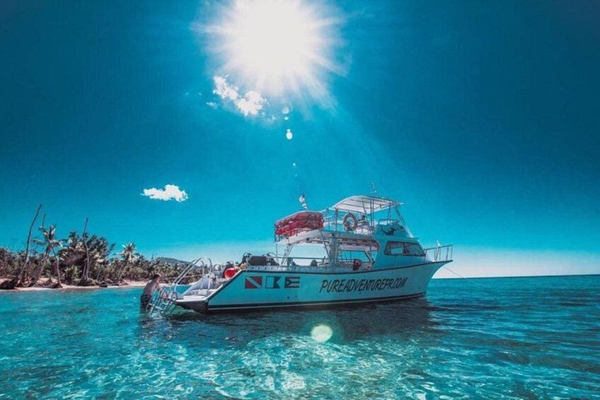 Snorkeling Tour to Vieques Island only 30 minutes away! 2