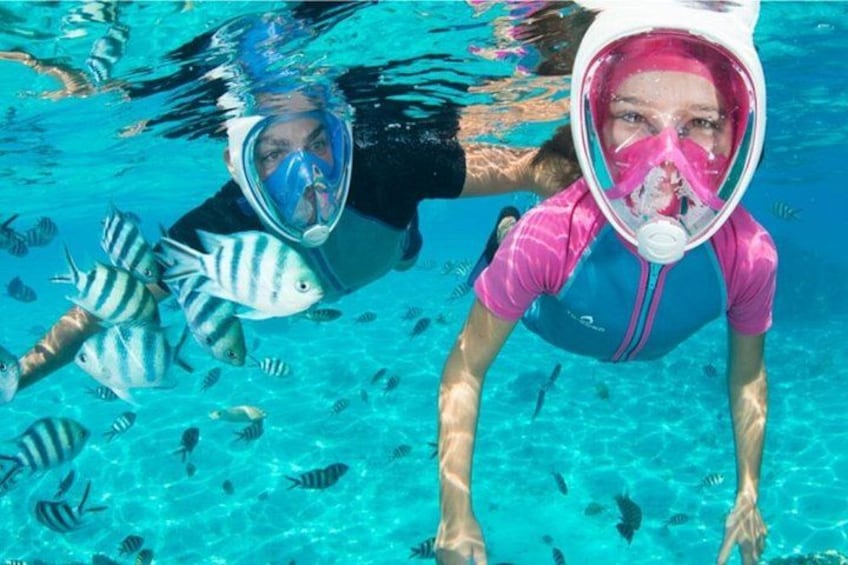 To personer snorkler under vandet omgivet af fisk. 2