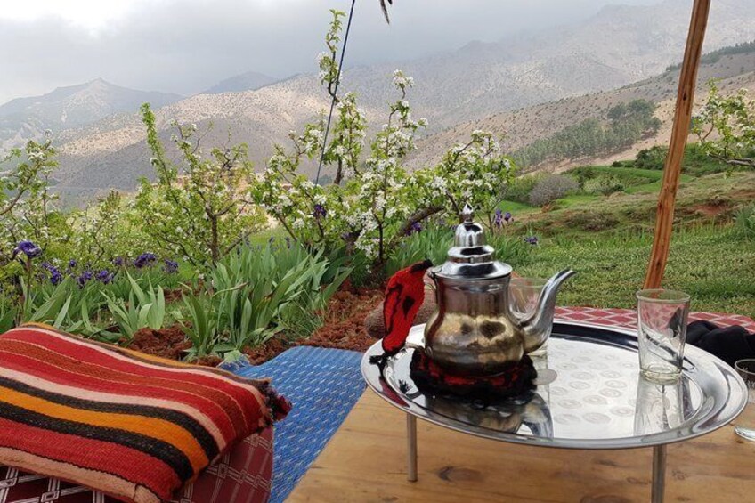 Atlas Mountains and 5 Valleys Tour from Marrakech - All inclusive 4