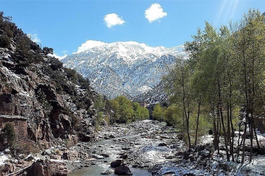Snow-capped peaks 2