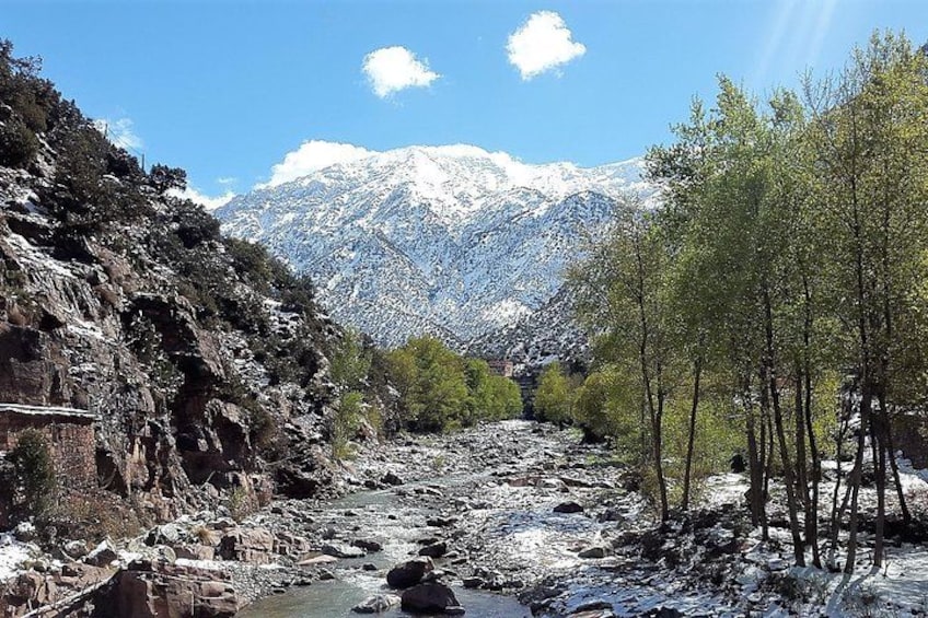 Snow-capped peaks 2