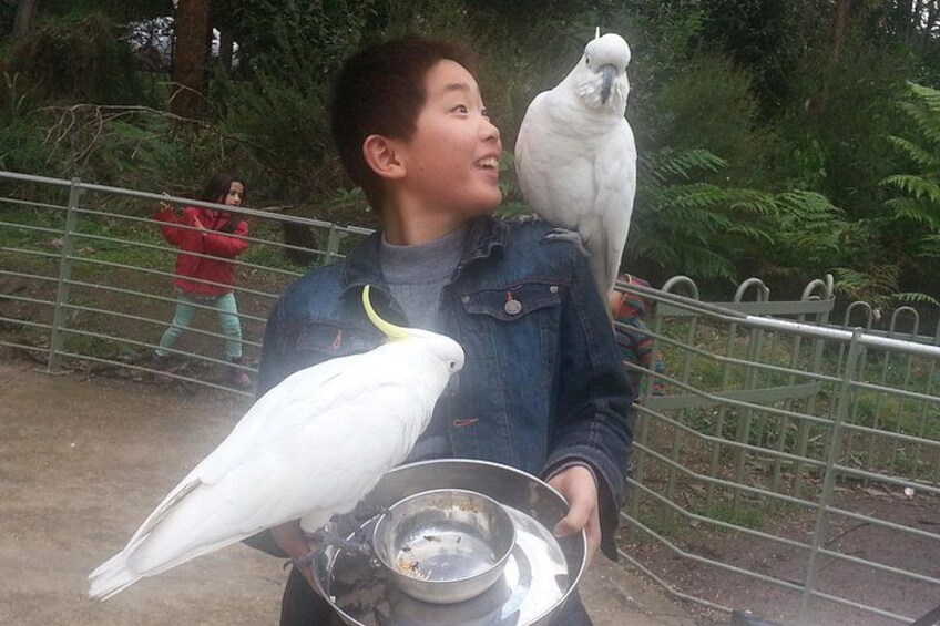 A person holding a bird and a bowl. 1
