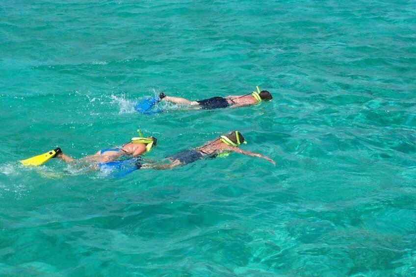 Sail and Snorkel at Cades Reef 2