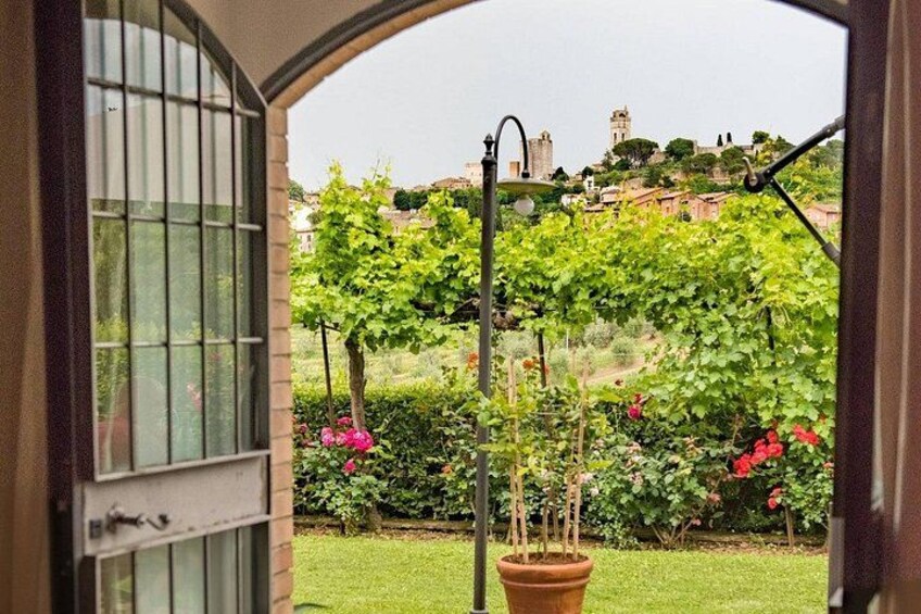 Un jardín con una planta en maceta, un farol metálico y vistas a una colina con edificios. 3