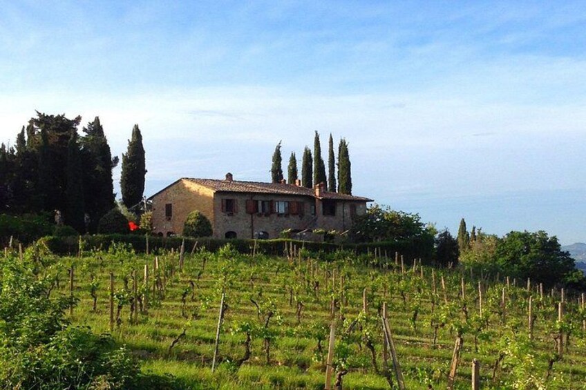 Private Tuscan meal with Wine and EVO oil tasting 3