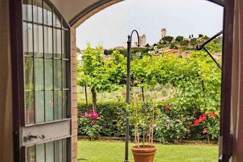 Private Tuscan meal with Wine and EVO oil tasting 2