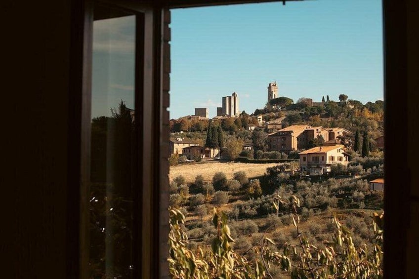 Private Wine & Evo Oil Tasting with Tuscan Meal 3