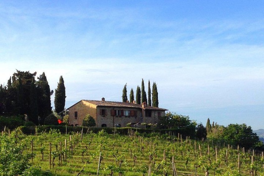 Private Wine & Evo oil tasting with Truffle Meal 2
