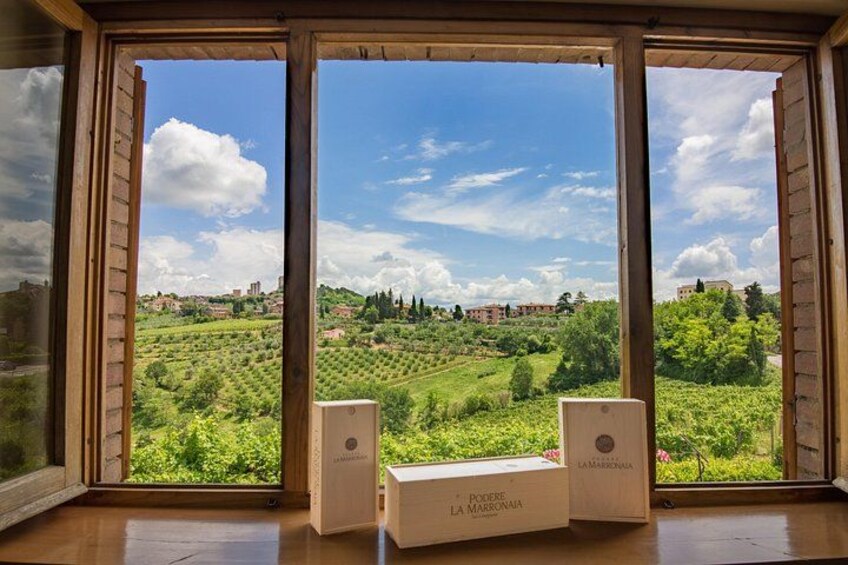 Une vue sur les vignes, visible à travers de grandes fenêtres, avec deux caisses étiquetées « Poggio La Maronnaia ». 1