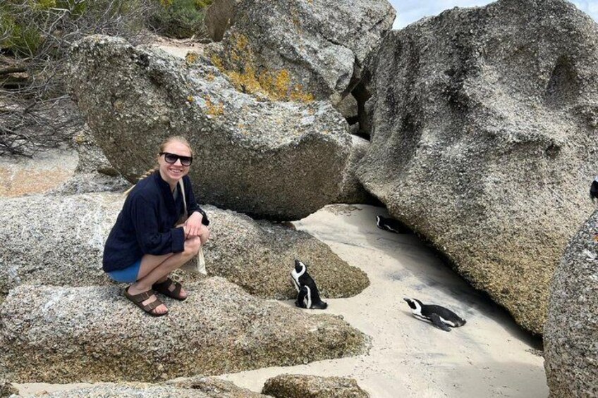 En person sitter på en sten och pingviner befinner sig på marken. 1