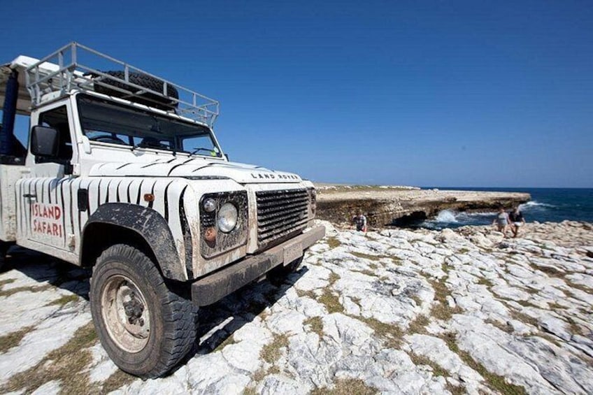 Island Safari 4x4 Discovery Tour from St John's 2