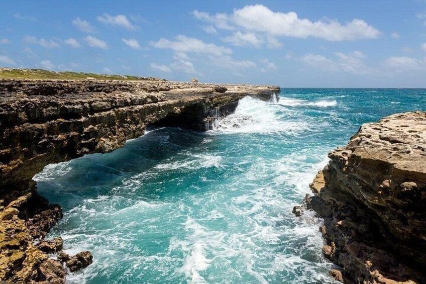 Island Safari 4x4 Discovery Tour from St John's 5