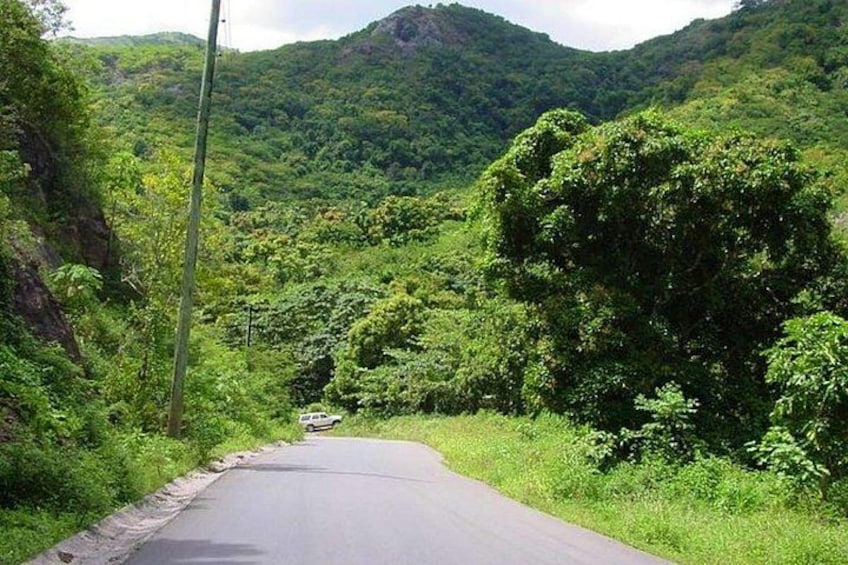 Une route sinueuse traverse un paysage verdoyant et luxuriant, parsemé d’une végétation dense, avec une montagne en arrière-plan. 3