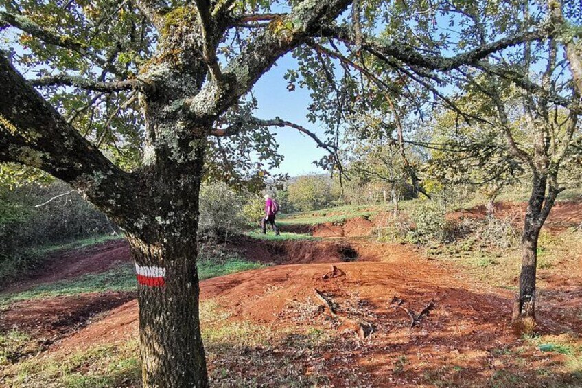 Walking the Trail, "Madras Circus" 4