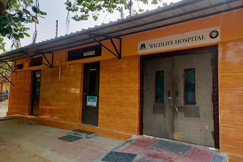 A building labeled 'Wildlife Hospital' with a wooden facade, a metal roof, and a paved entrance area. 3