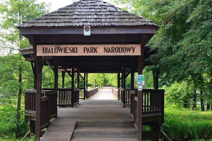 Bialowieza National Park Small Group Tour from Warsaw with Lunch included 2