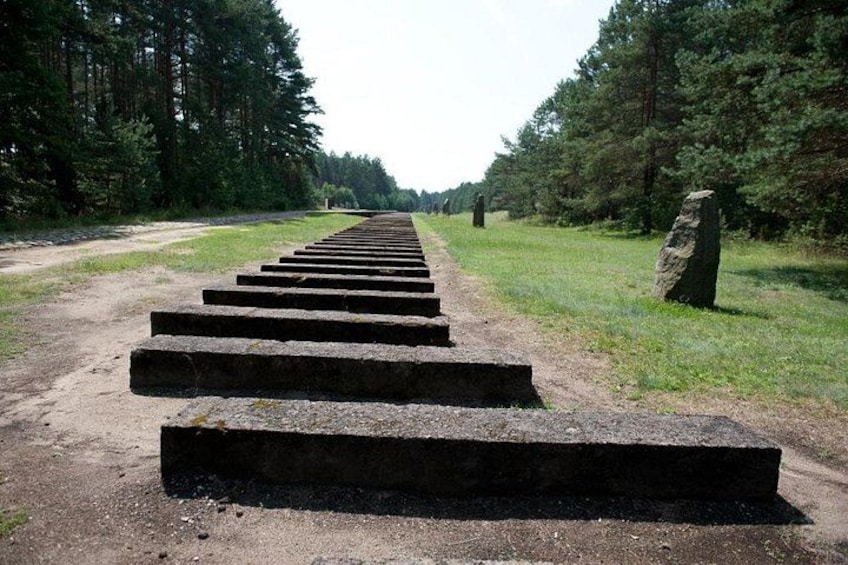 A series of concrete steps leading into a forested area with tall trees and a clear sky. 4