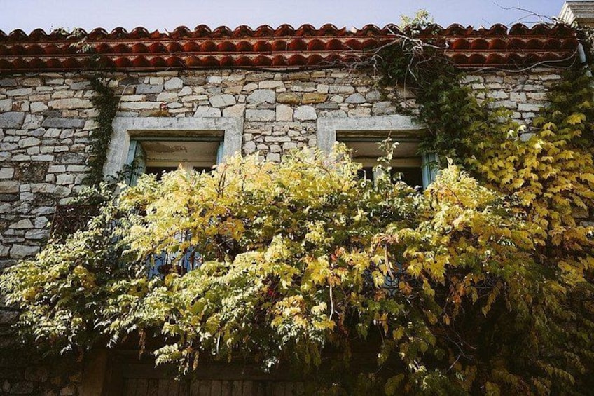 A stone building with a tiled roof and ivy-covered walls. 5
