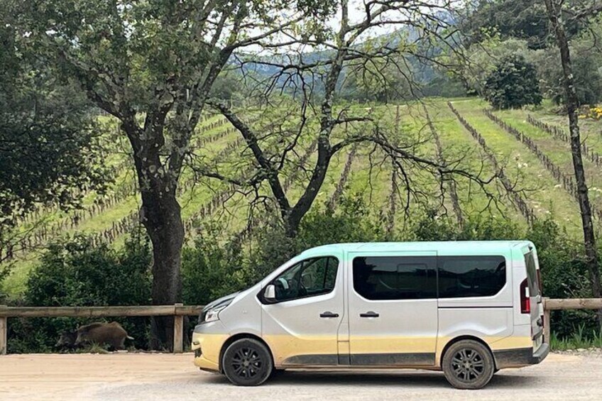 A silver van parked on a road with a rural landscape in the background. 3