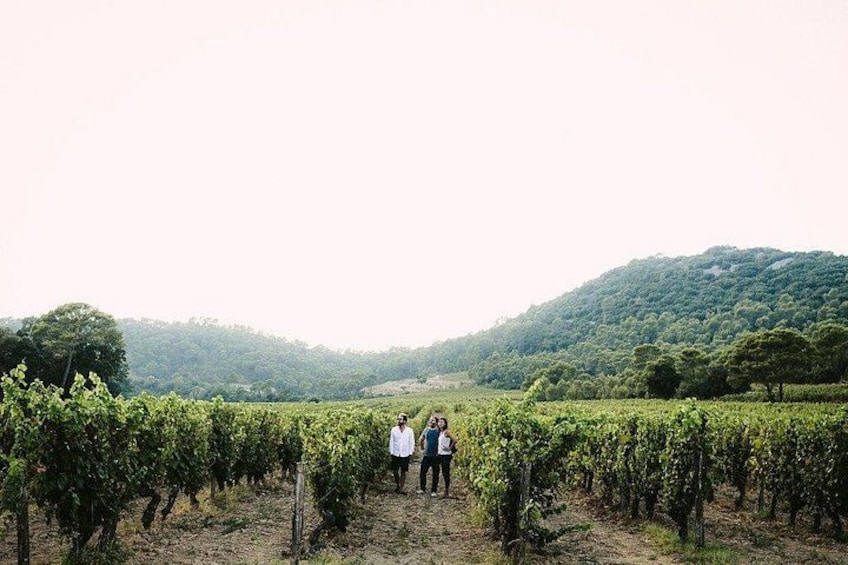 Winetour, wine tasting 3