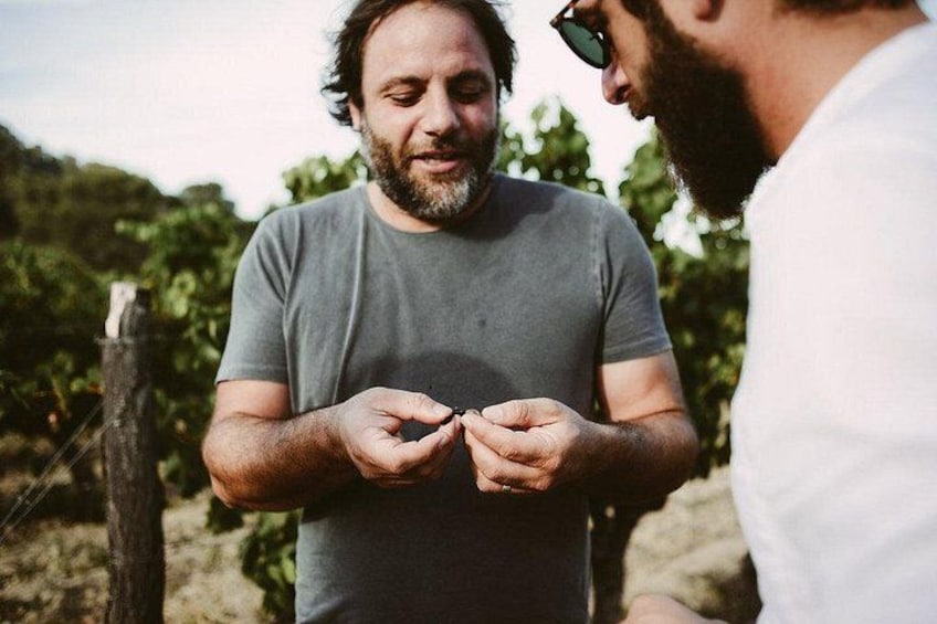 Tasting the fruit 2